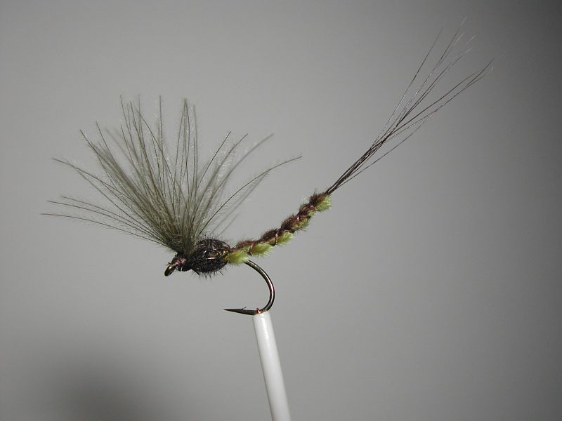 Dry_fly_extended_body_Puff