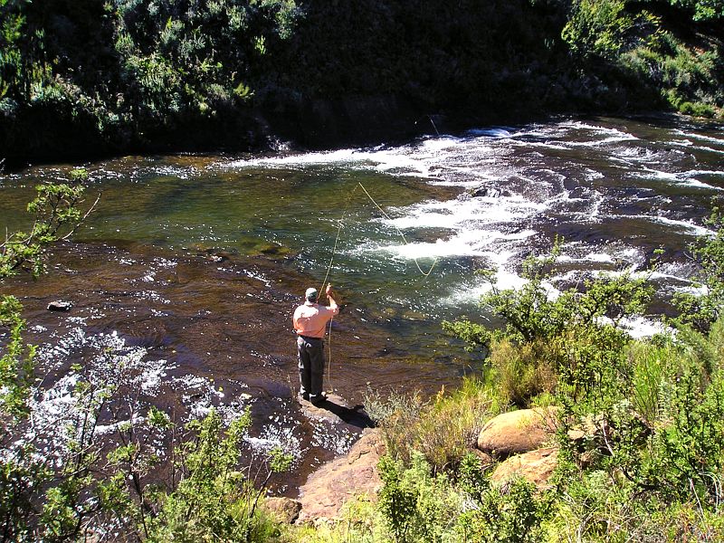 Ed_fishing_below_Gateshead