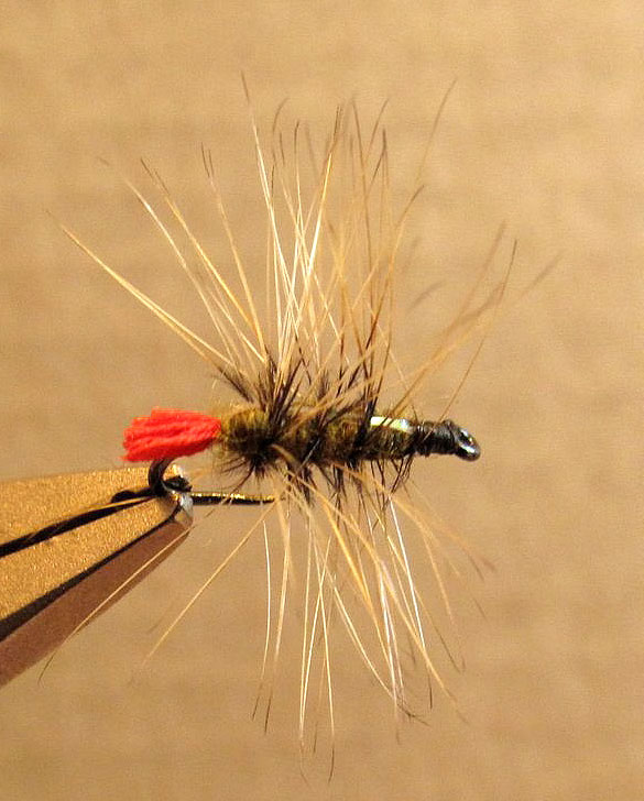 Royal Coachman Parachute SIX Fly Fishing Flies