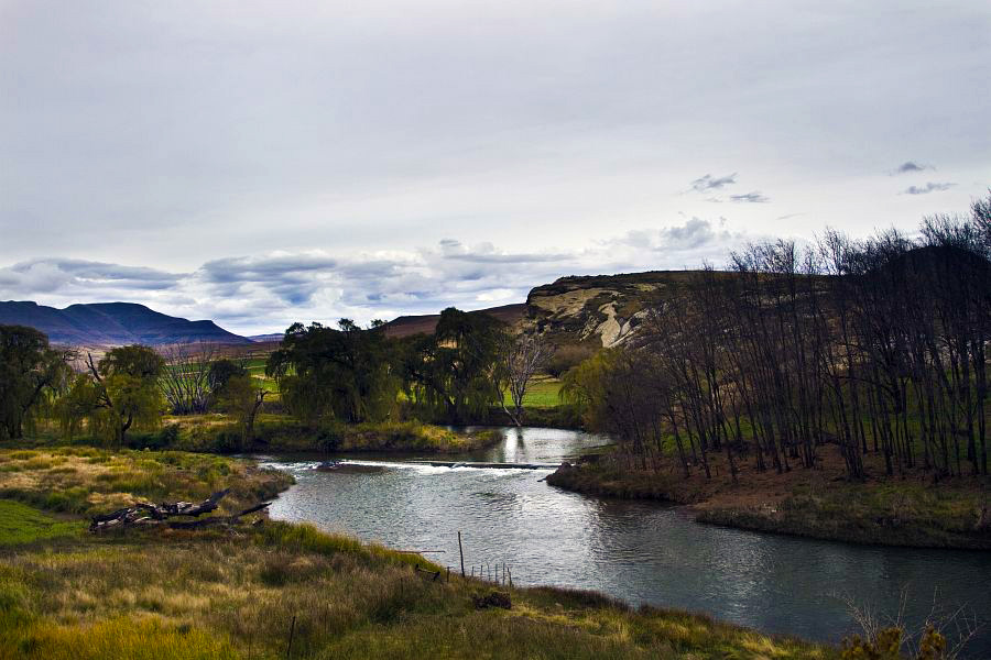 Fly_fishing_Rhodes_Eastern_Cape_18