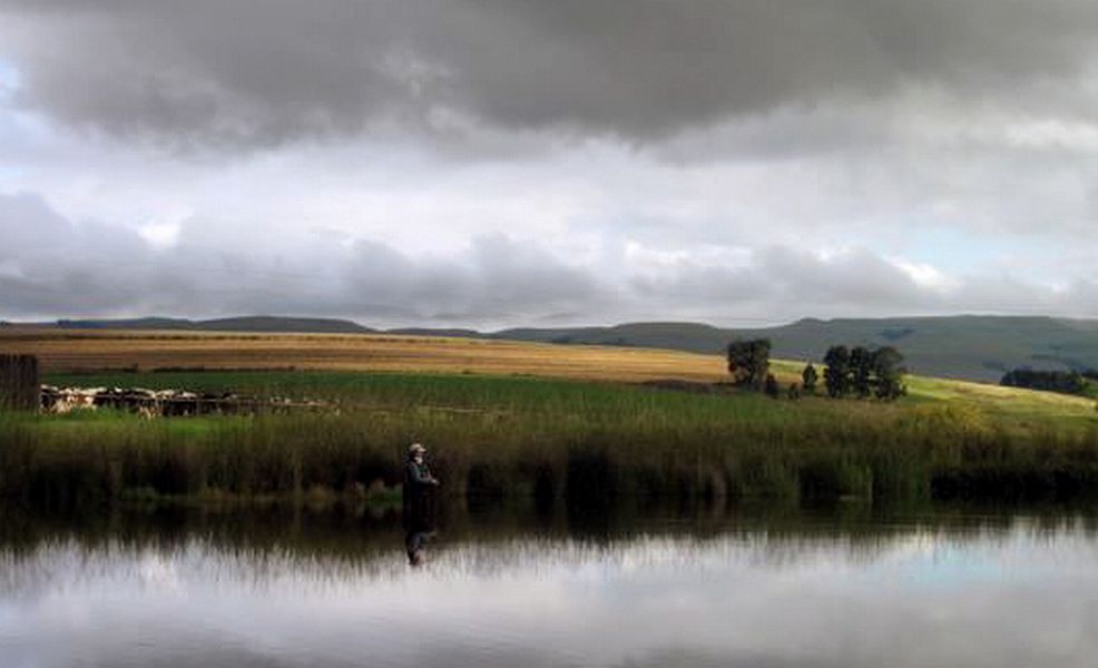 Fly_fishing_stillwaters_in_KZN_7