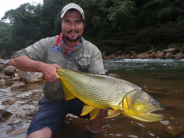 Golden_Dorado_Bolivia_Ruhan_Neethling_11