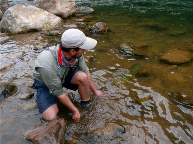 Golden_Dorado_Bolivia_Ruhan_Neethling_12