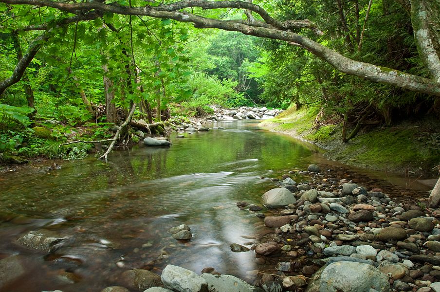 Japanese_trout_stream_1