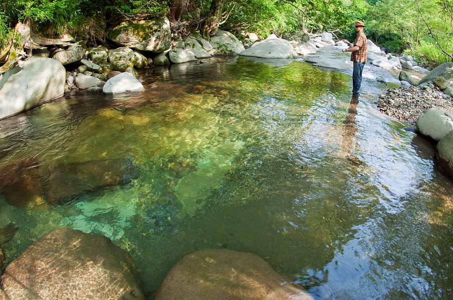 Japanese_trout_stream_2