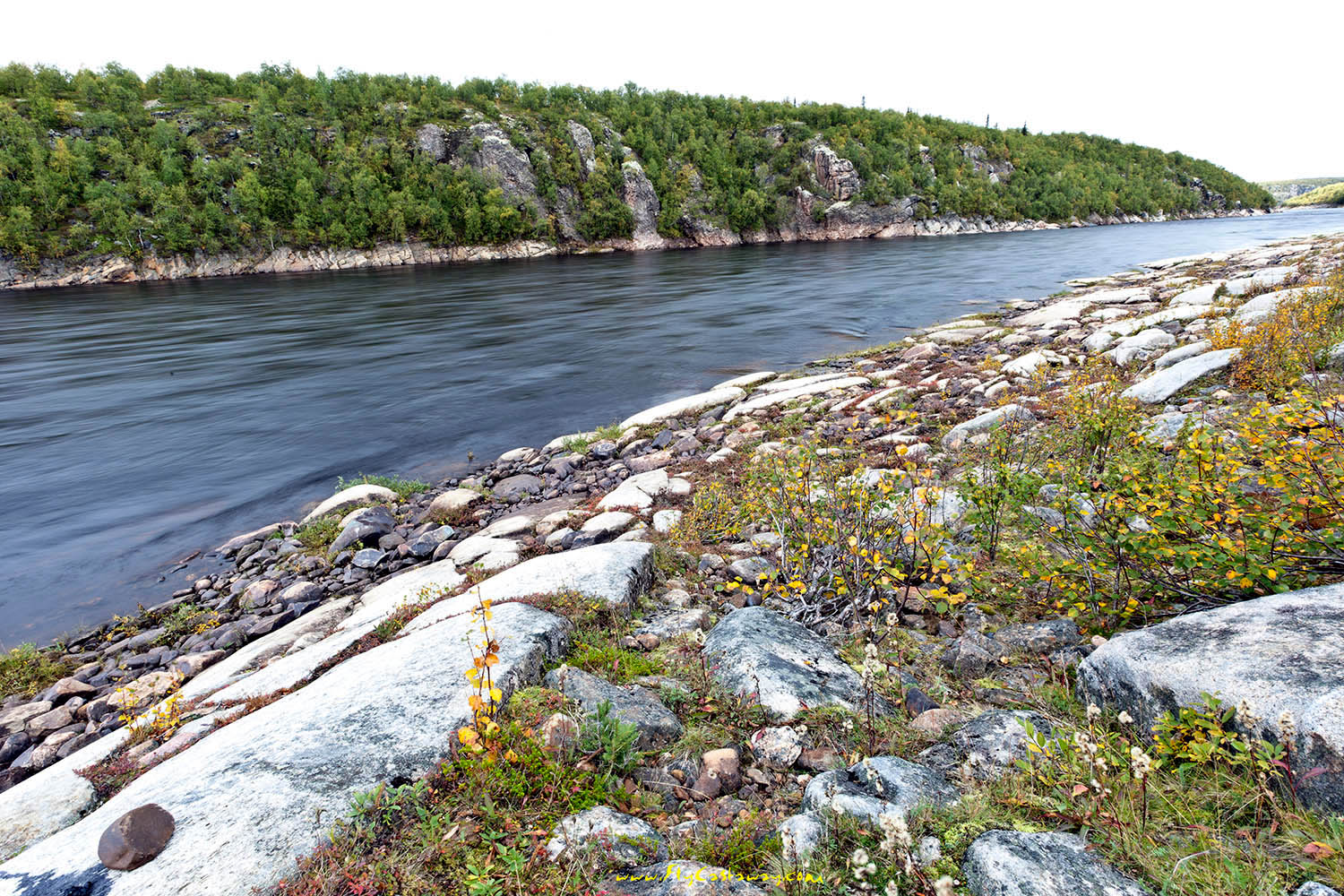 Kola_Peninsula_Russian_salmon_fishing_15