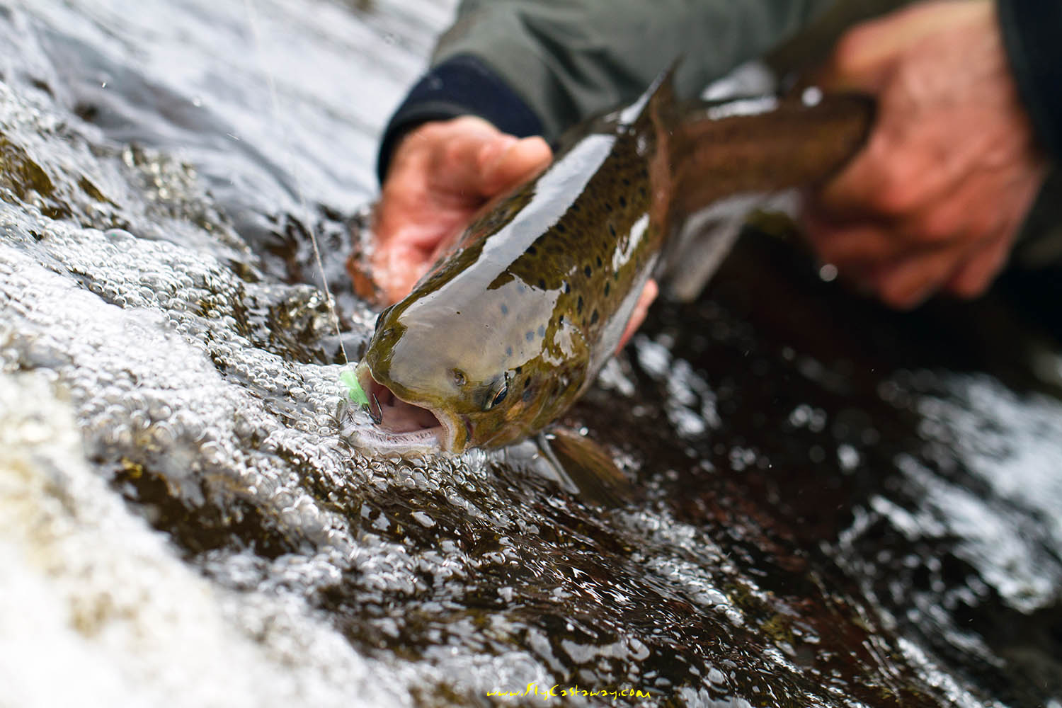 Kola_Peninsula_Russian_salmon_fishing_4