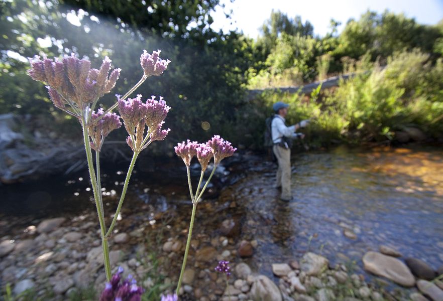 Lourens_River_Somerset_West_11