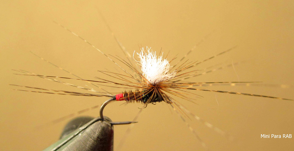 MC Coetzers favourite stream flies 6