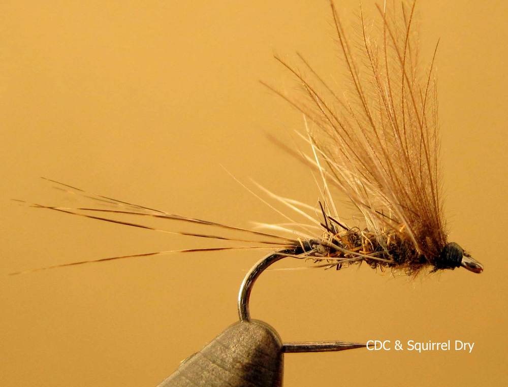 MC Coetzers favourite stream flies 8