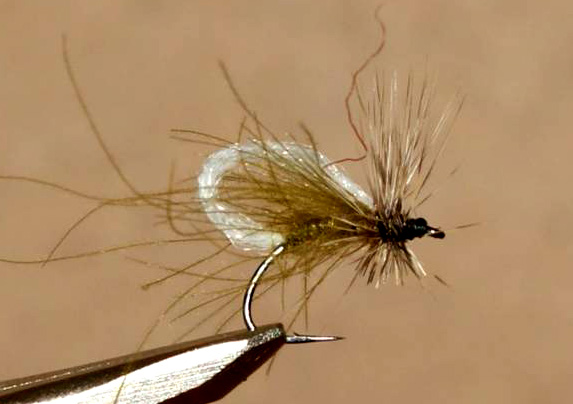 Mario Geldenhuys Loopwing CDC Caddis