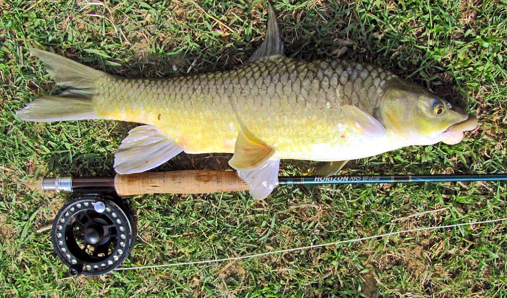 The Smallmouth Fly Box: 1970's Yellow Fenwick Fly Rods