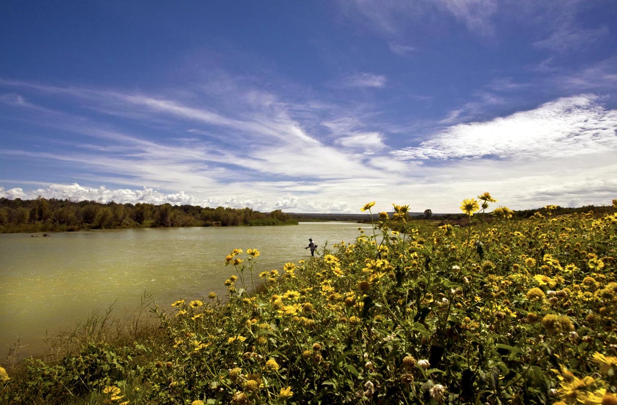 Orange_10_The_riverbanks_alive_with_yellow_flowers