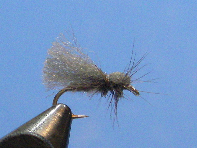 Poly-Caddis-