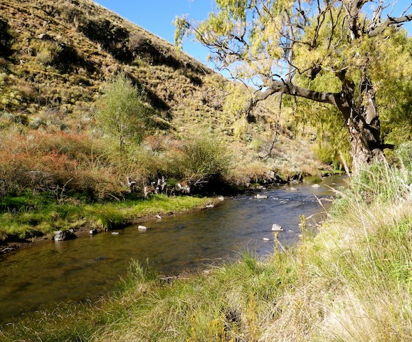 Rhodes_district_fly_fishing_scenes_1