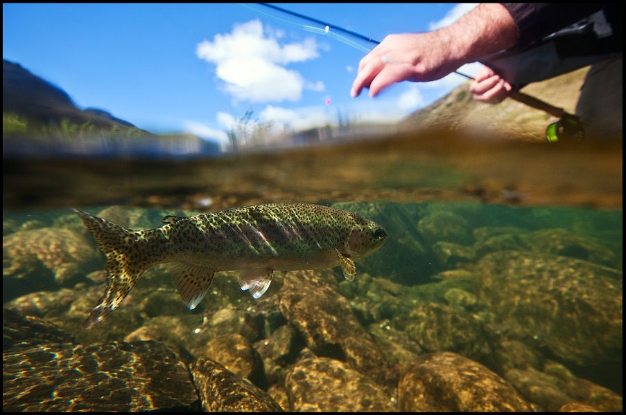 Rhodes_fly_fishing_Gerrit_Redpath_7