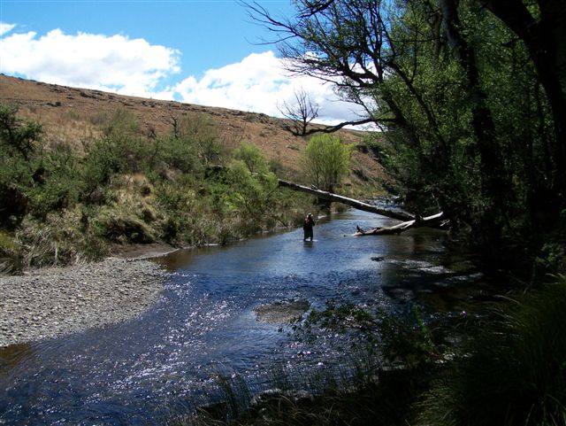 Rosstrevor_Guest_Farm_5