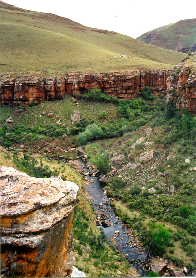 Swith_valley_looking_upstream