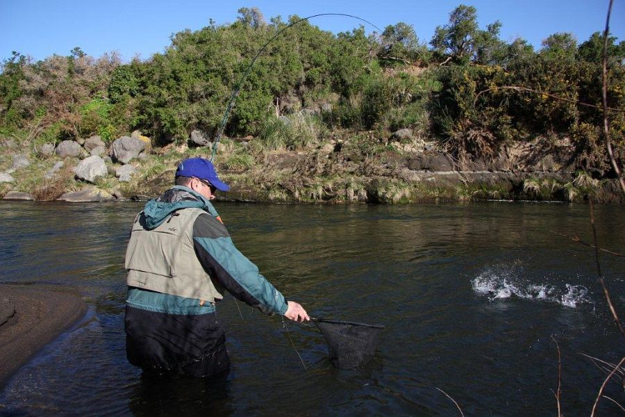 Taranaki_river_New_Zealand_6