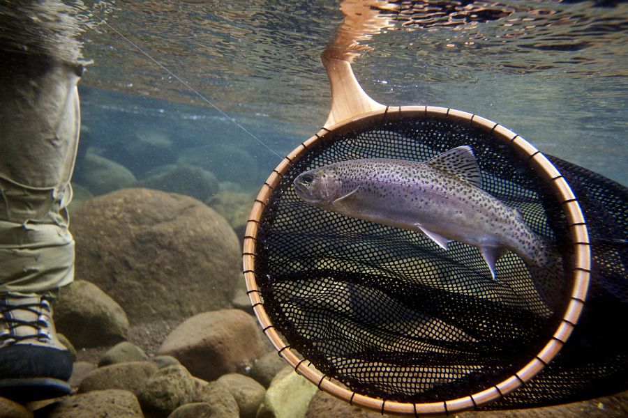 Hand Made Bamboo Tenkara Fishing Net Like