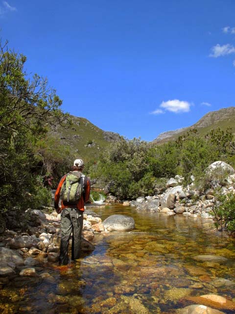 The_Witte_River_Western_Cape_11