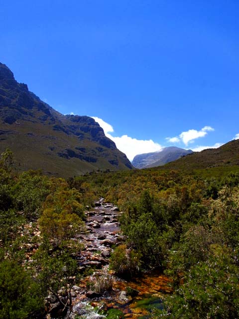 The_Witte_River_Western_Cape_4