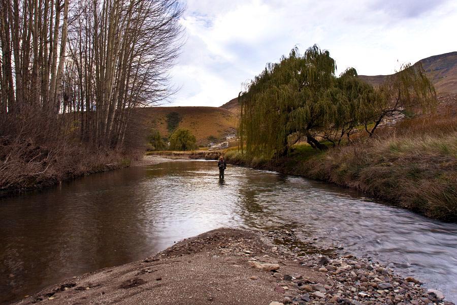 Tony_Kietzman_Sterkspruit_River_23Spotting_trout_trout_9-50