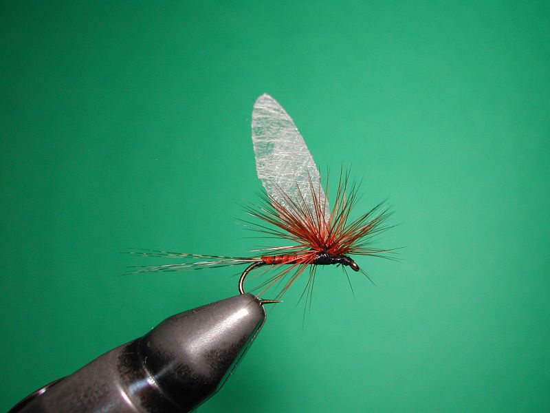 Wing'n Flash Flashbou  Quality Fly Tying Flash 101