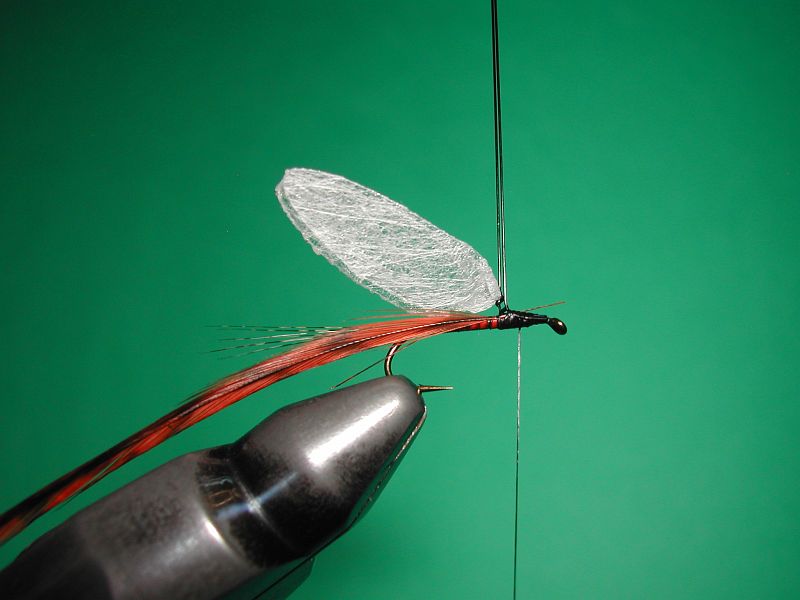 Egg Fly Fishing Secrets by Dave Kilhefner – Flyfishing and Tying Journal