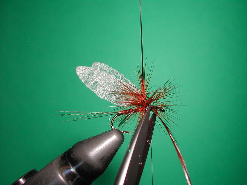 Tying_Agostinon_Roncallos_winged_Paraloop_dry_fly_6