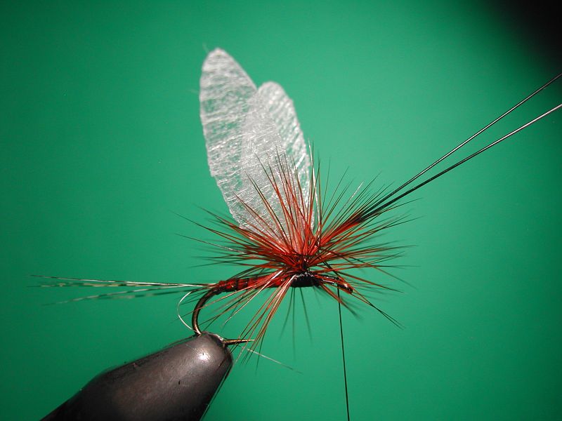 THE ULTIMATE HACKLE PLIER? - TomSutcliffe - The Spirit of Fly Fishing