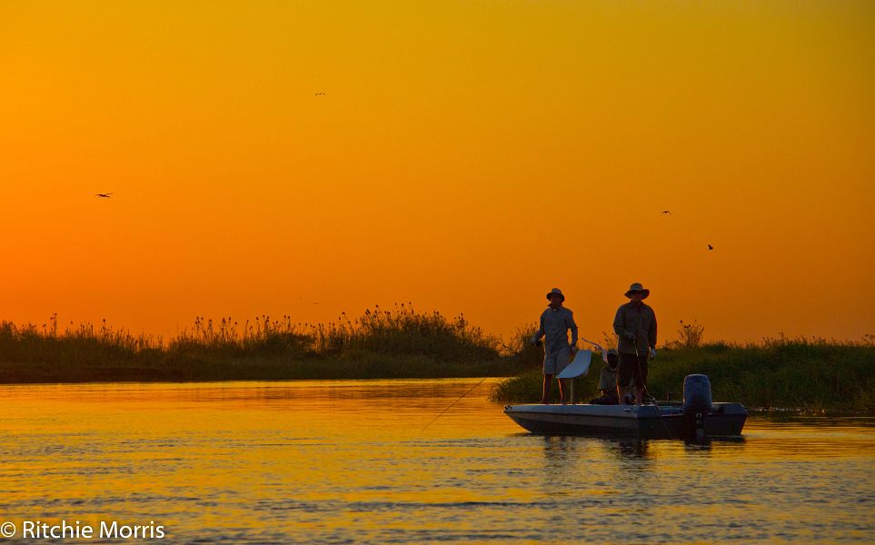 Zambezi_Ilombe_and_Sekoma_Lodge_tigerfish_17