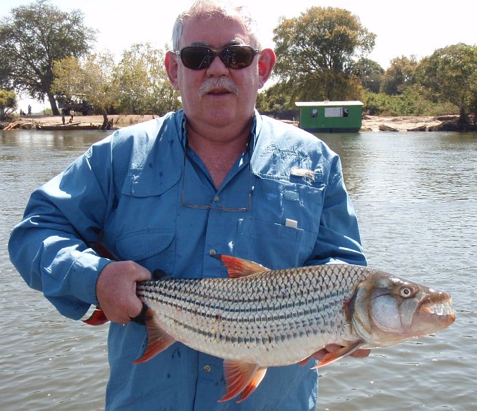 Zambezi_Ilombe_and_Sekoma_Lodge_tigerfish_21