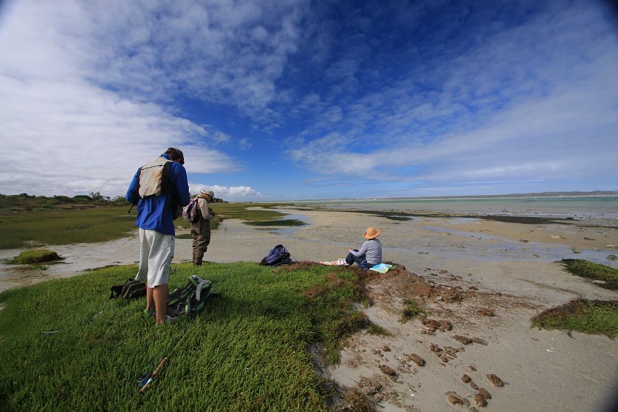 1 A Langebaan vista