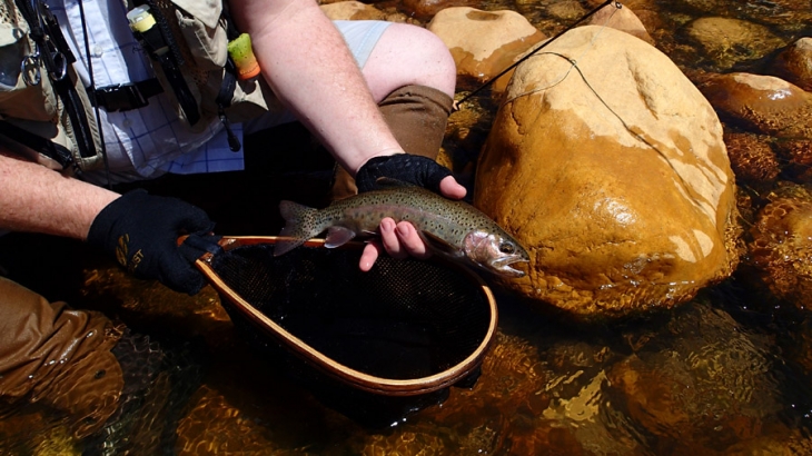 2134_Keith_Douglas_trout_PC260010