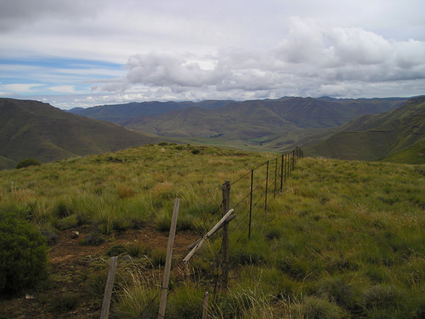 30fencespostsgates