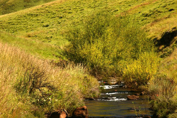 37_The_Antelope_Stream_near_Vrederus