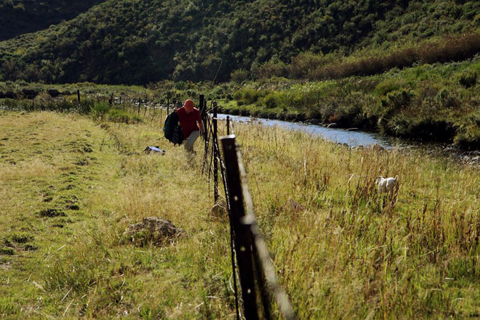 3fencespostsgates