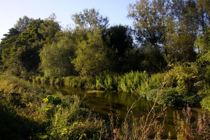 59 One of the loveliest chalkstreams The Hampshire Bourne (5)