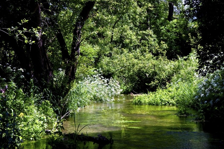 70 Bushed in section Itchen carrier stream