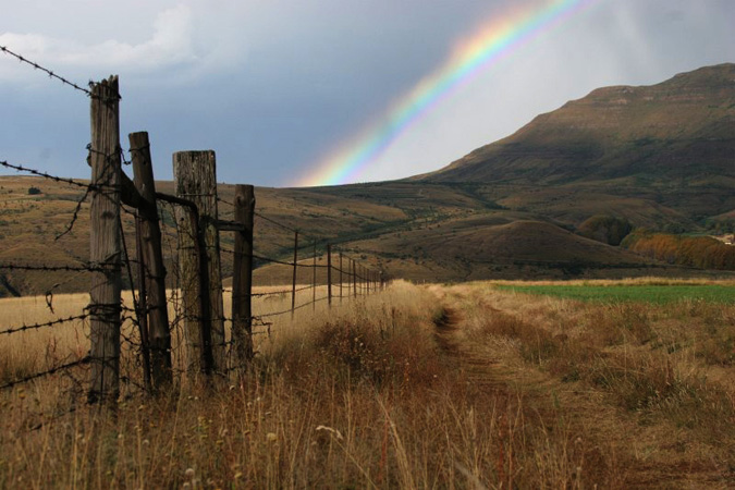 7fencespostsgates