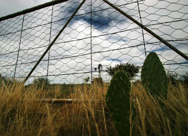 8fencespostsgates
