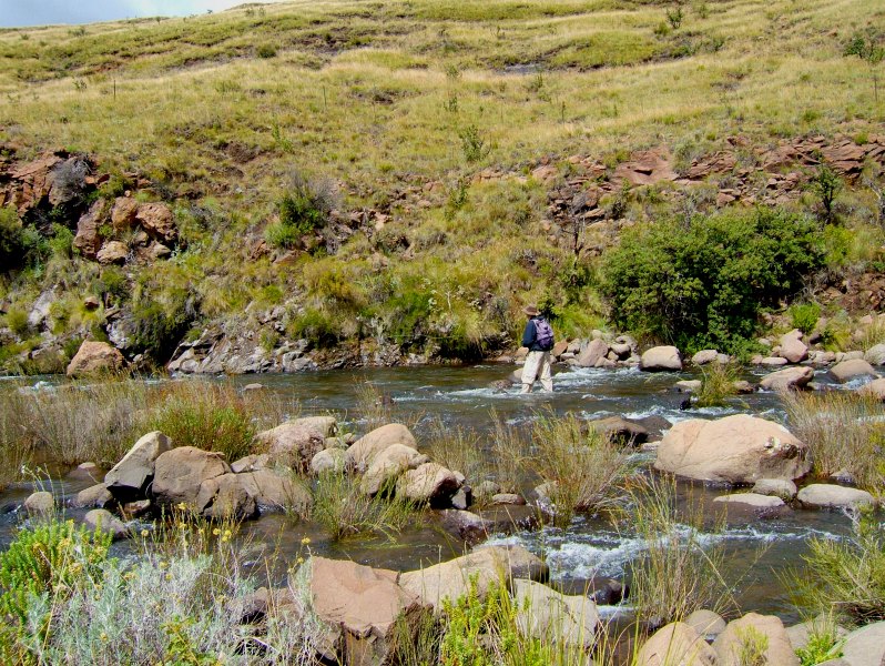 Bokspruit 2 (7)