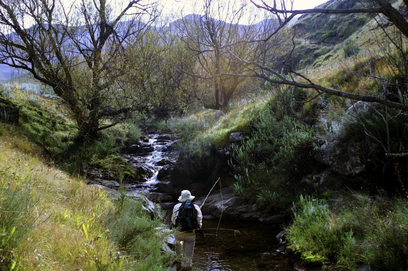 Bradgate headwaters Vrederus 1 (9)