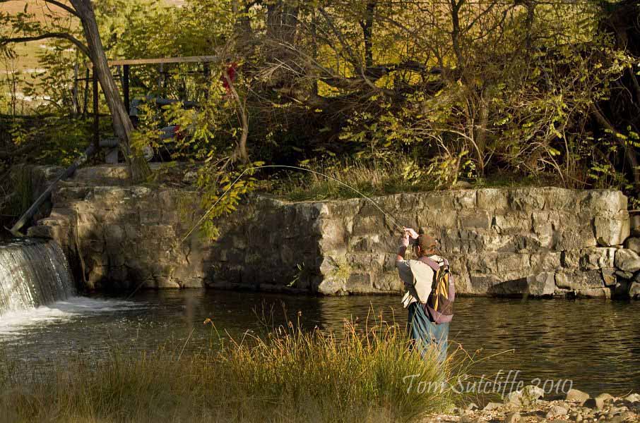 Branksome weir 19