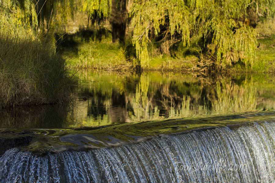 Branksome weir 2