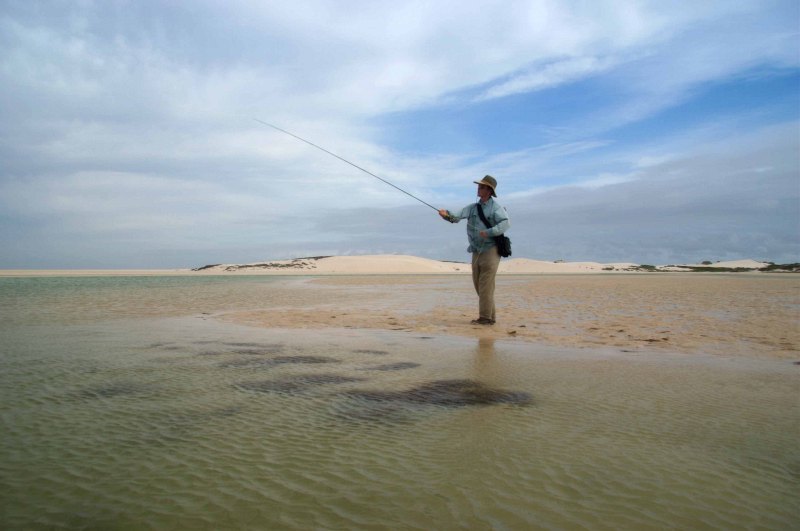 Estuaries and shoreline, Western Cape (12)