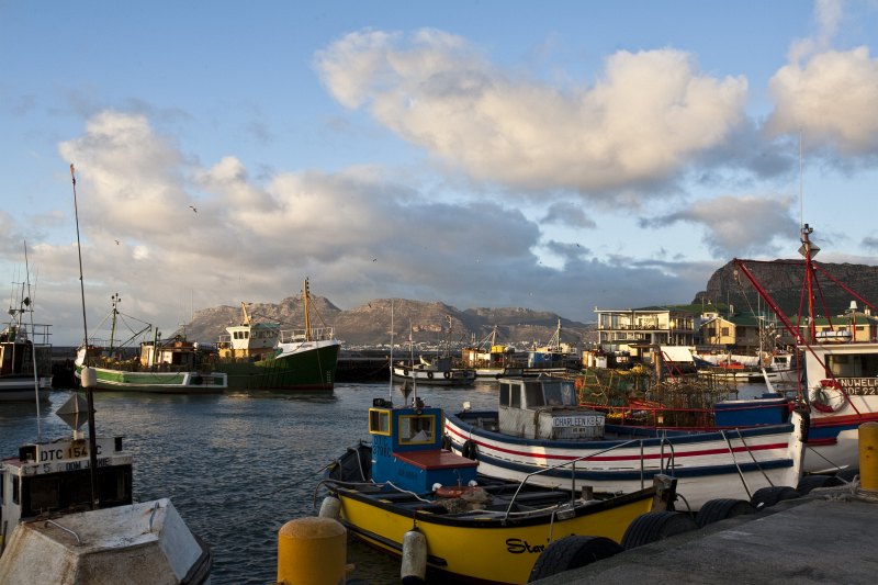 Harbour scene