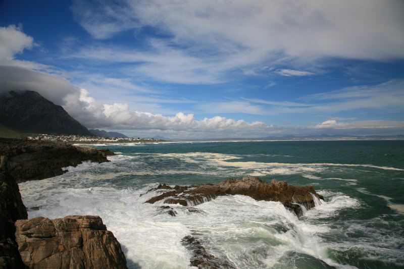Hermanus 