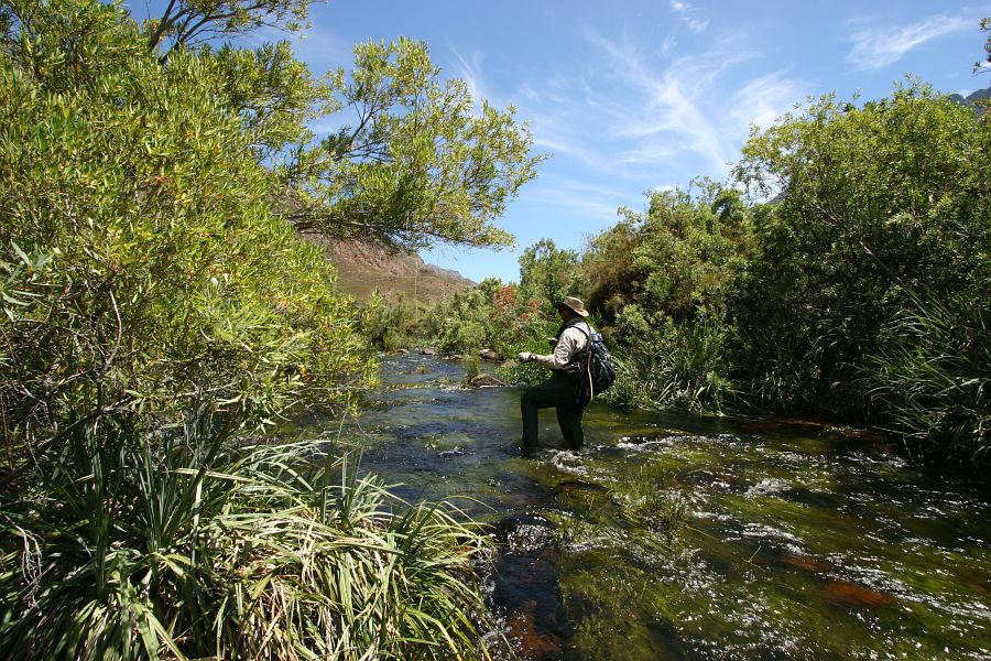 Holsloot River impressions (5)